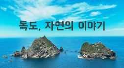 독도자연의이야기_썸네일_정용수.jpg